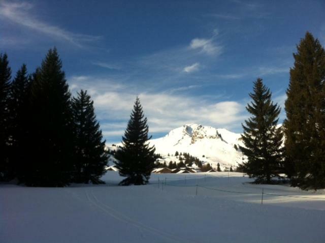 Terrasses Du Mont Blanc Διαμέρισμα Le Praz de Lys Εξωτερικό φωτογραφία